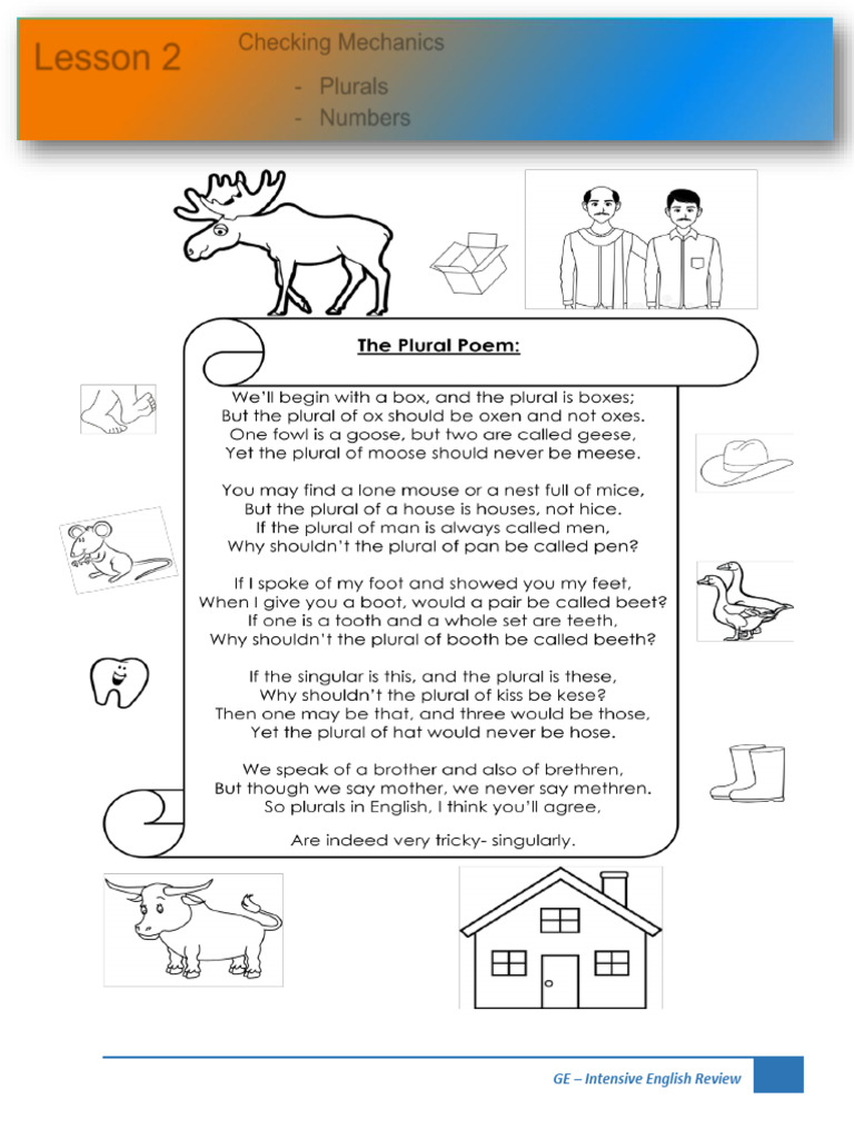 English Plurals and Numbers Guide | PDF | Plural | English Language