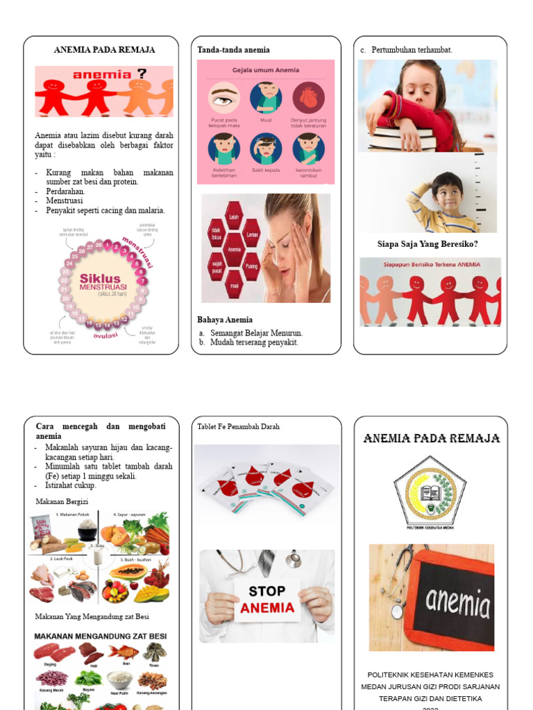 Leaflet Anemia pada Remaja Kemenkes | PDF