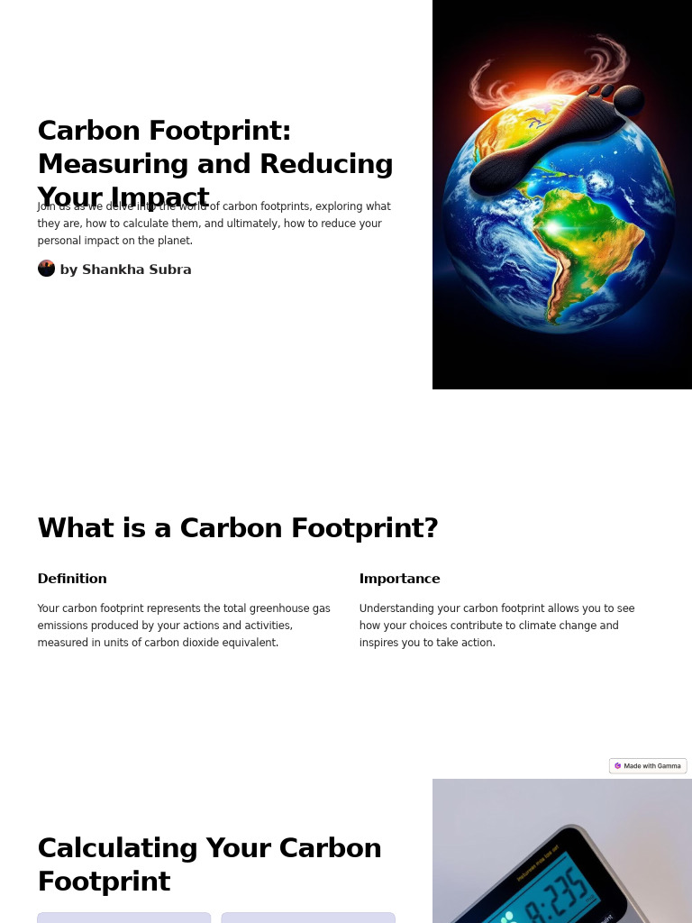 Reduce Your Carbon Footprint Guide | PDF | Carbon Footprint | Efficient ...