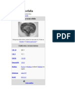 Defectos de Migracion de Neuronas