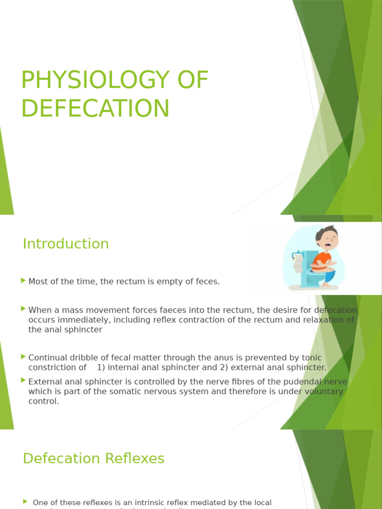 Defecation Physiology and Diarrhea Insights | PDF | Rectum | Diarrhea