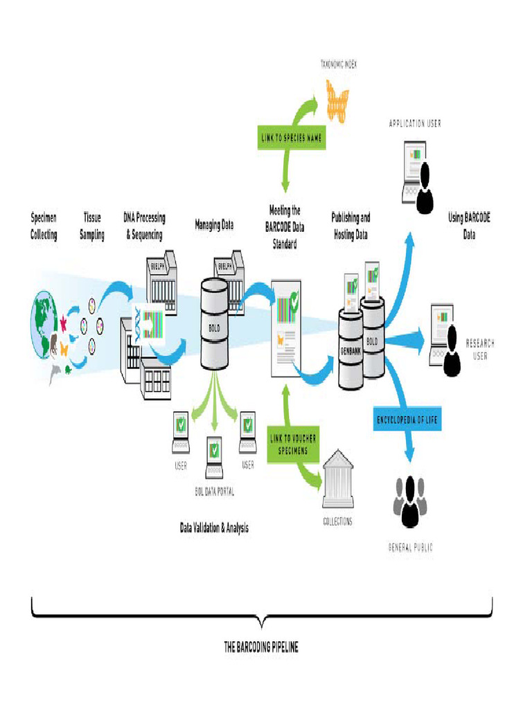 DNA Barcoding for Species Identification | PDF | Health Sciences ...