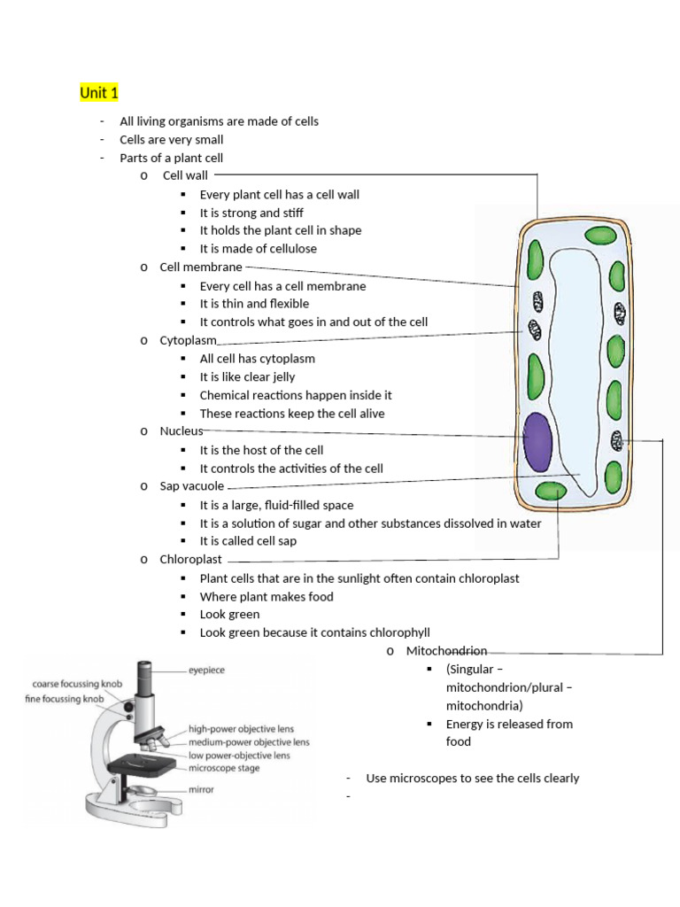 Understanding Cells in Biology | PDF | Cell (Biology) | Chloroplast