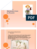 Asexual Reproduction in Plants