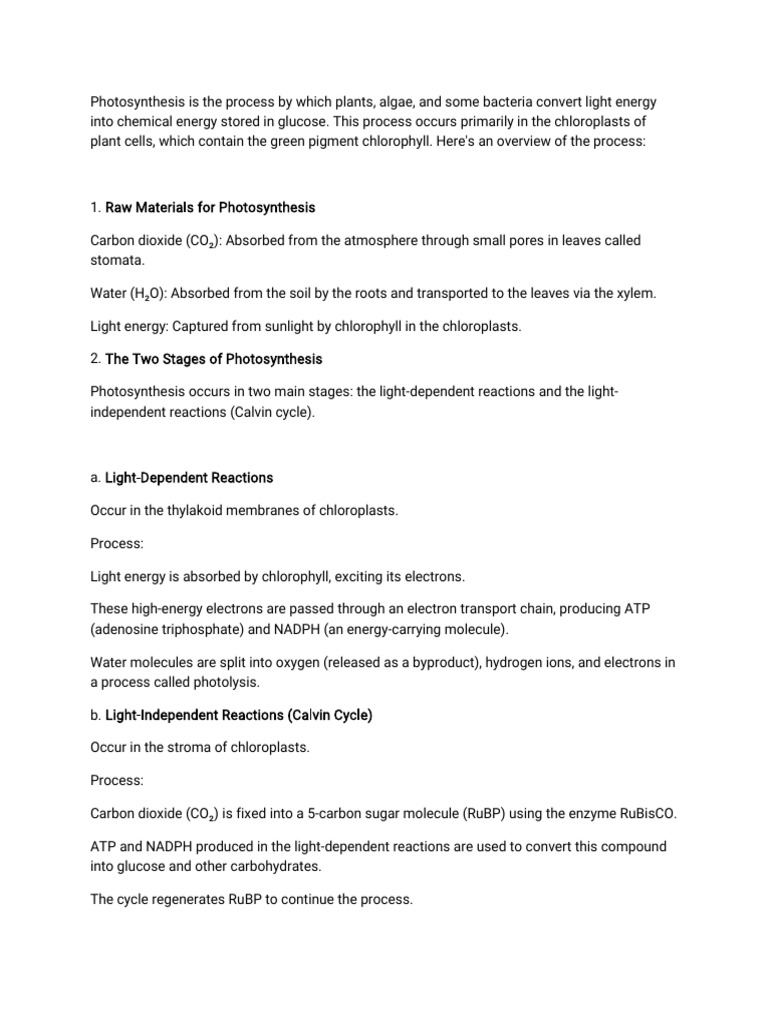 Photosynthesis-WPS Office | PDF | Photosynthesis | Chloroplast