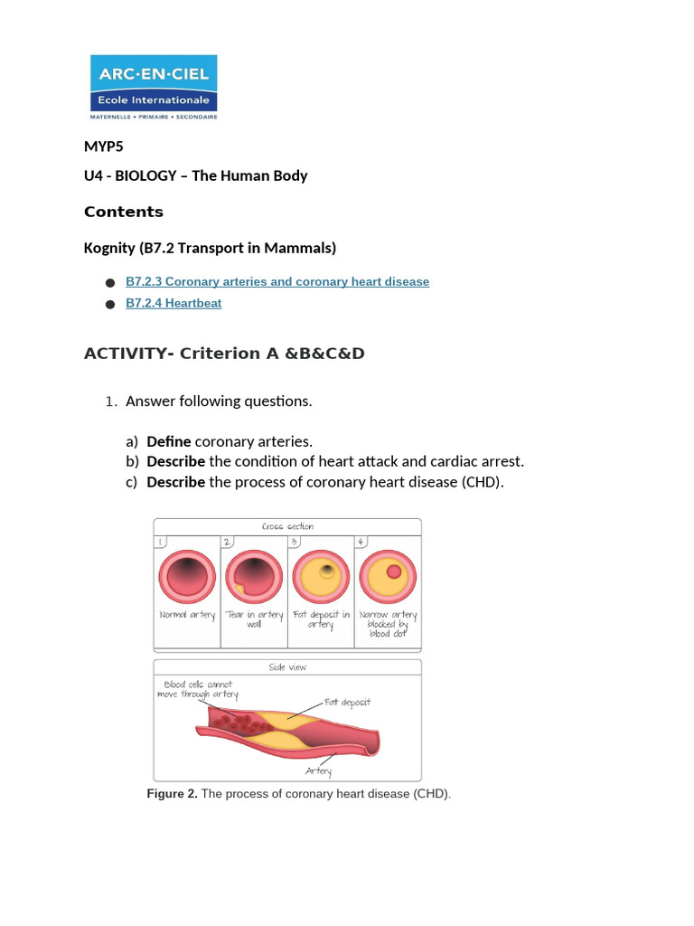 Understanding Coronary Heart Disease | PDF | Coronary Artery Disease ...