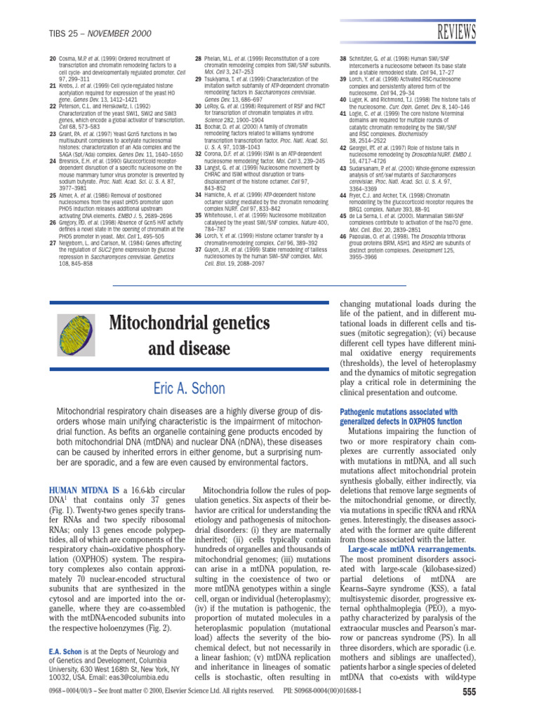 Schon_2000_Mitochondrial Genetics & Disease | PDF | Mitochondrial Dna ...