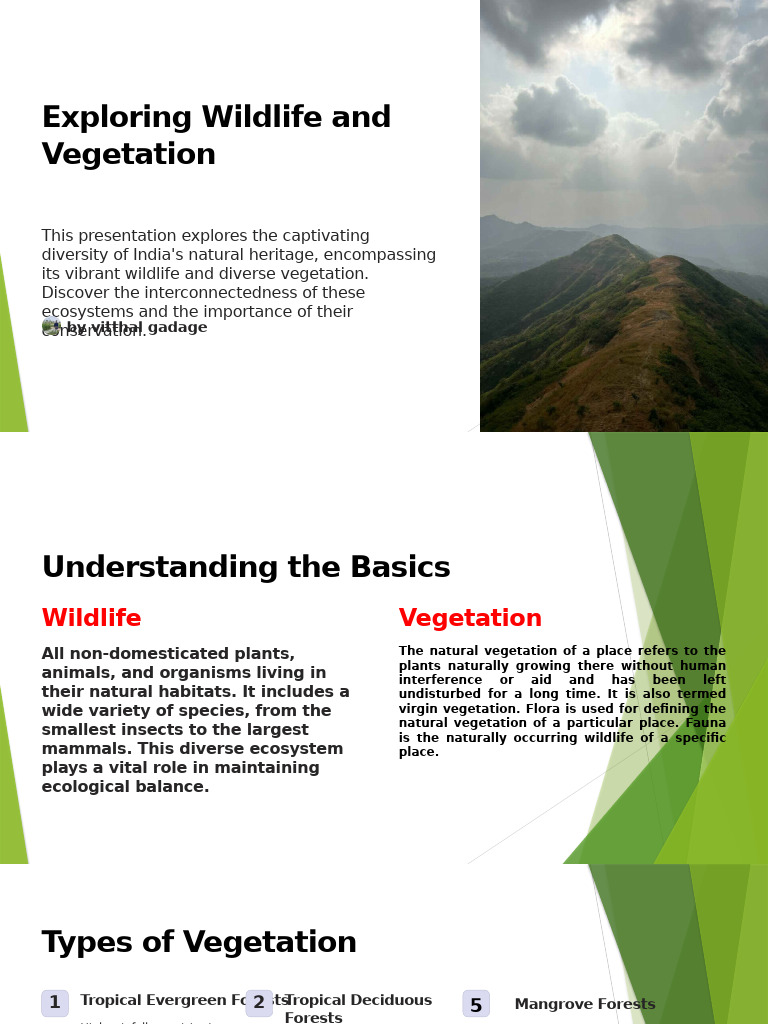 India's Natural Vegetation and Wildlife | PDF | Forests | Desert