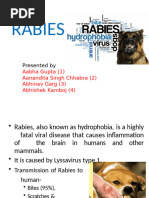 Rabies Green Book Chapter 27 May 2023 | PDF | Rabies | Vaccines