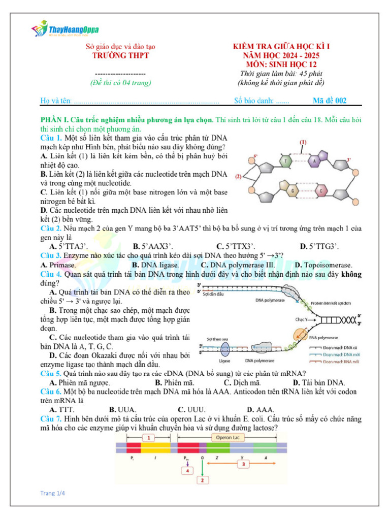 Giua Ki 1 Sinh 12 de 02 - 1600 - PDF - Gdrive.vip | PDF