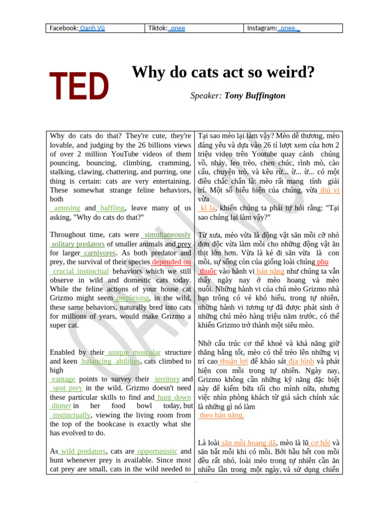 Ted 01 | PDF