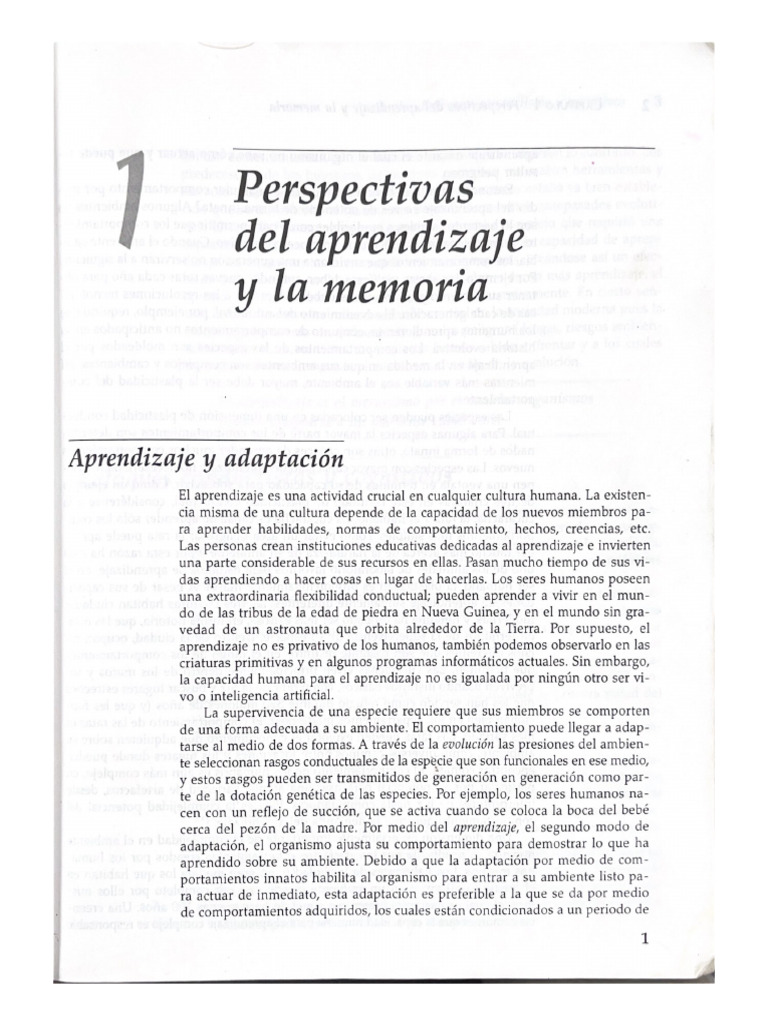 Aprendizaje y Memoria 1-24 | PDF