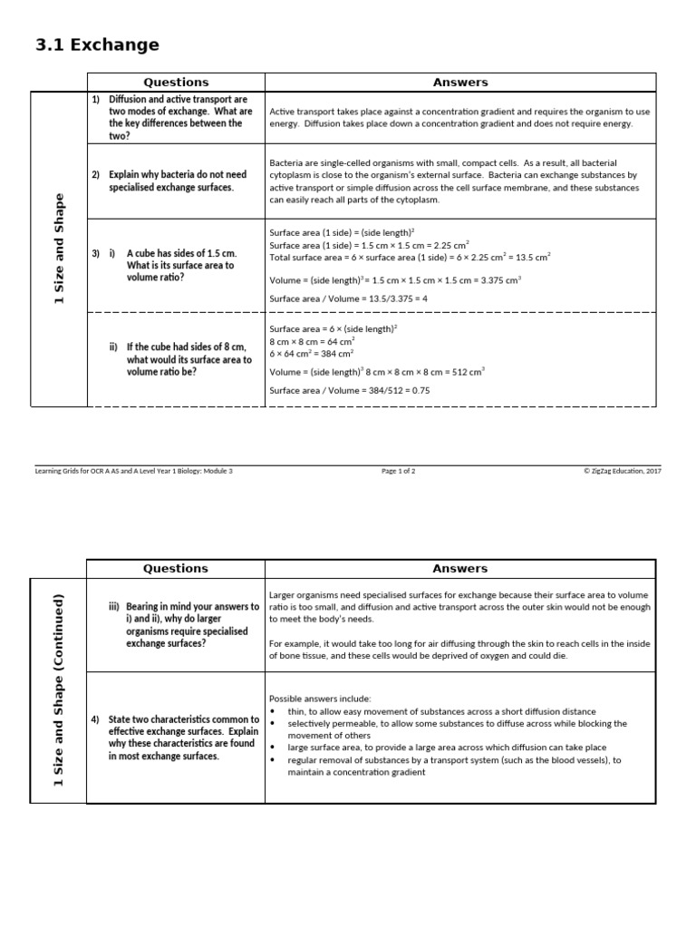 3.1 Exchange Answers LG | PDF | Gill | Breathing