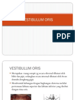 Vestibulum Oris