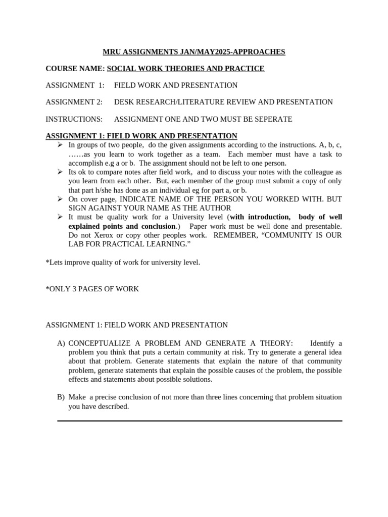 Social Work Theories Assignments Guide | PDF | Psychoanalysis ...