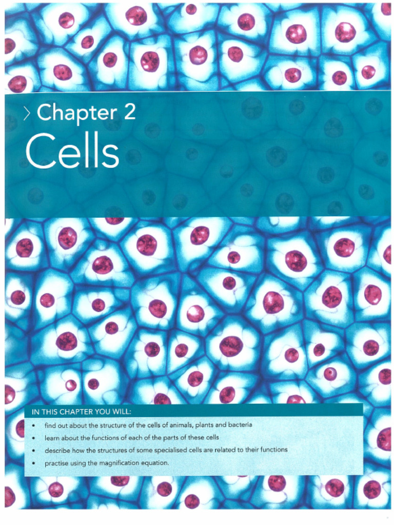 Cha 2 Cells | PDF