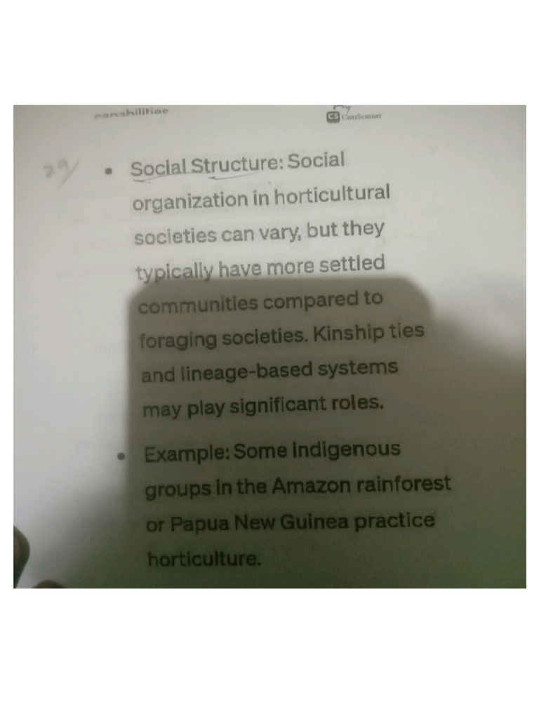 Ss Notes | PDF