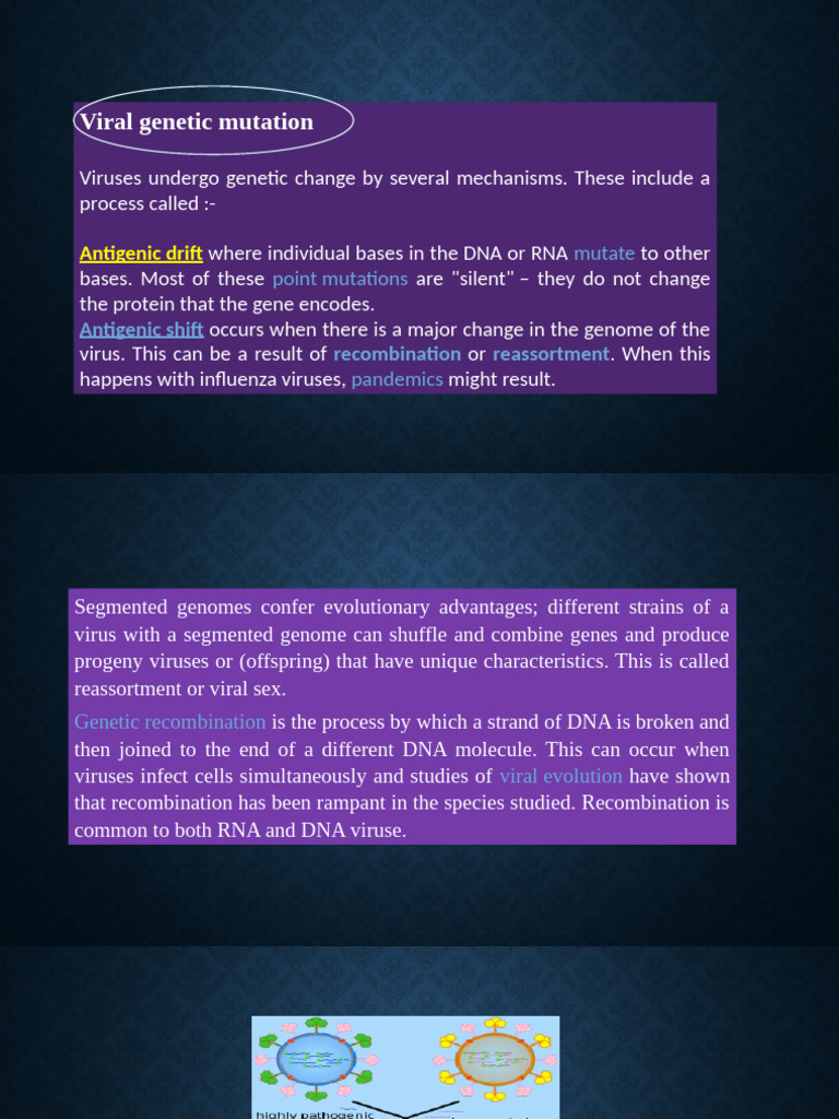 Viral Genetic Mutations Explained | PDF | Virus | Mutation