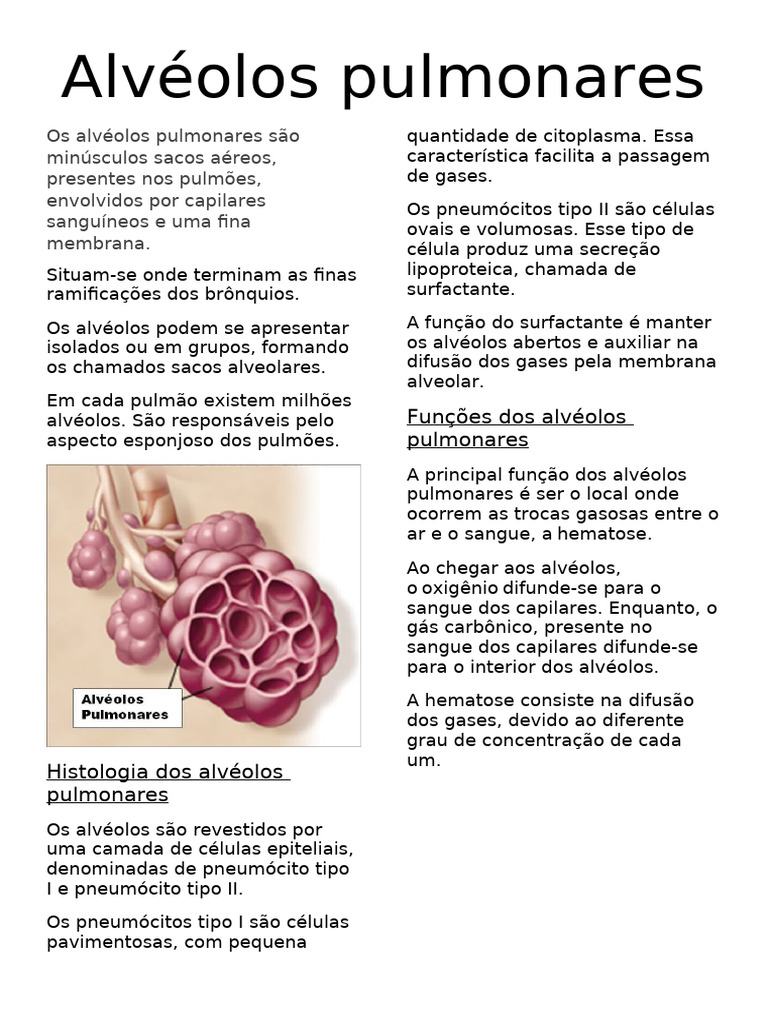 Alvéolos Pulmonares | PDF