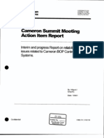 Gameron Summit Meeting Action Ltem Report