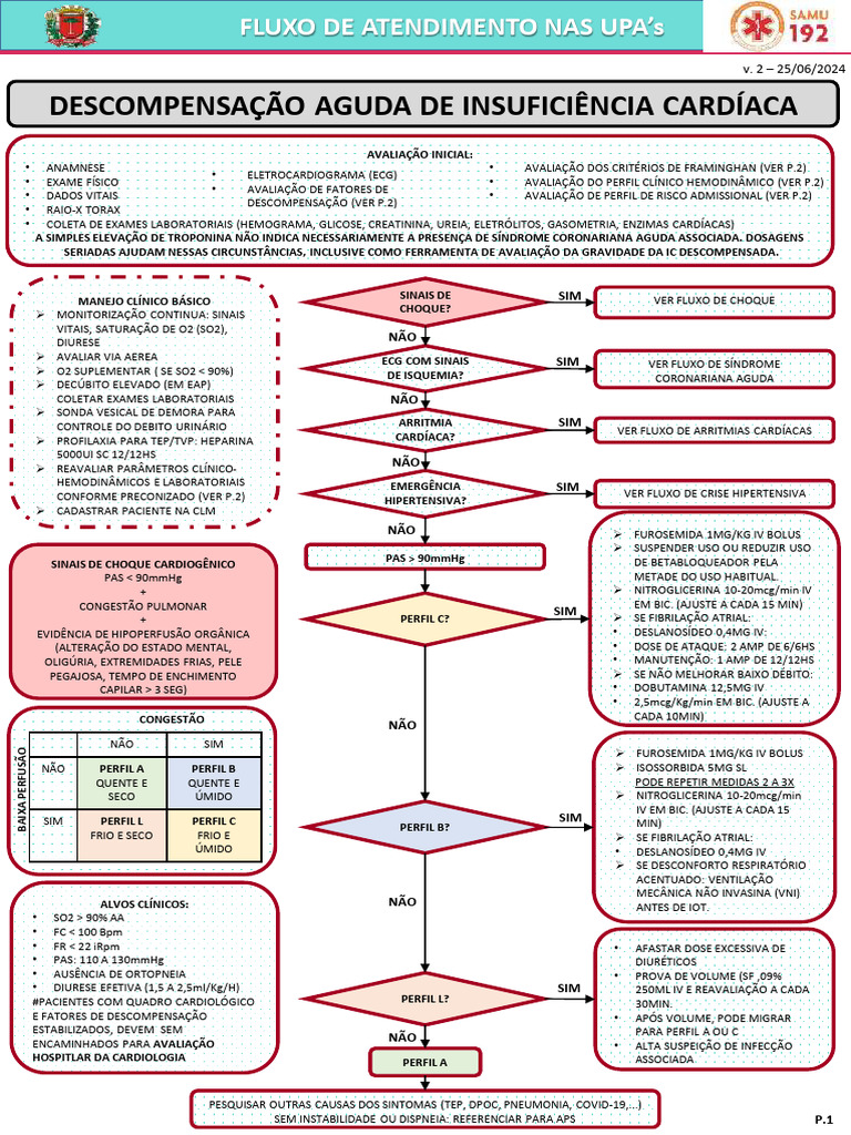 DESCOMPENSAÇÃO AGUDA DA INSUFICIÊNCIA CARDÍACA | PDF | Doenças ...