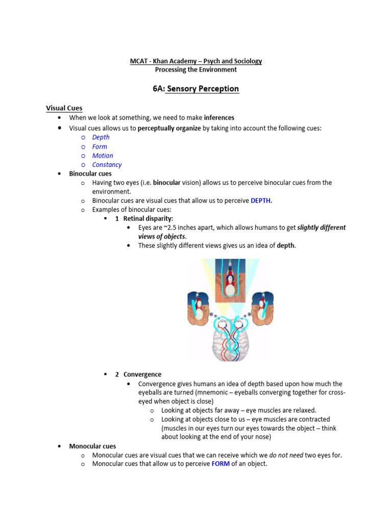 P S (6 - Processing The Environment) (Controlled Docx) | PDF | Auditory ...