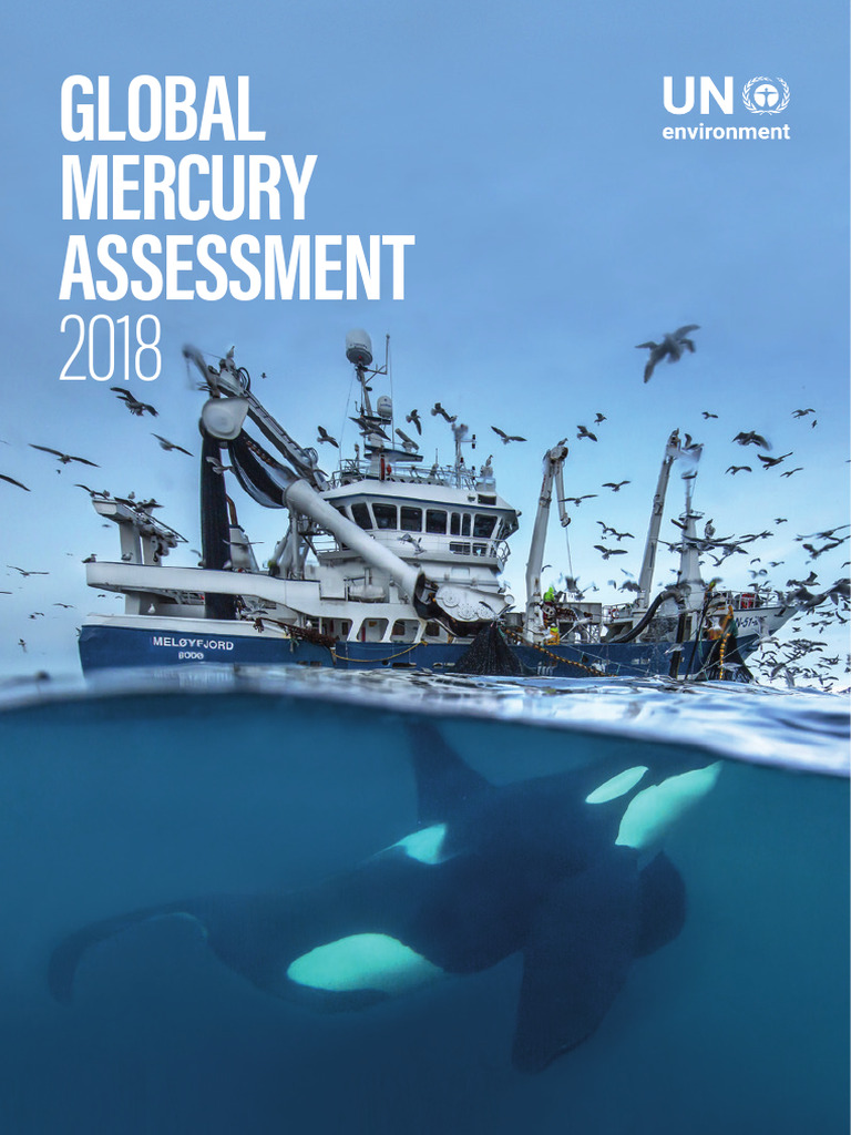GMA2018 | PDF | Human Impact On The Environment | Mercury (Element)
