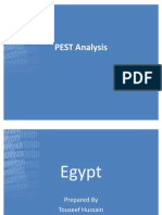 Egypt PEST Analysis