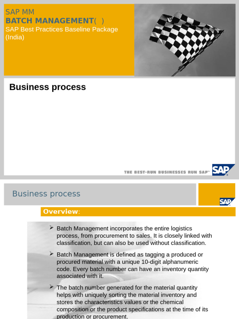 SAP Batch Management Overview | PDF