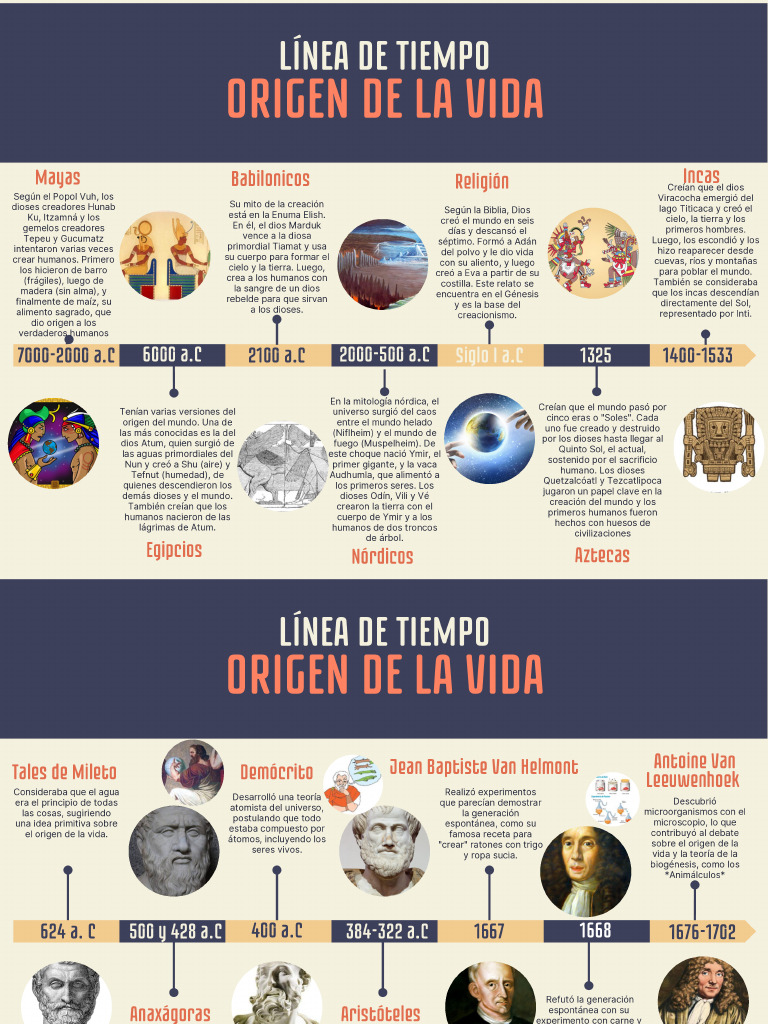 Línea de Tiempo Origen de La Vida | PDF