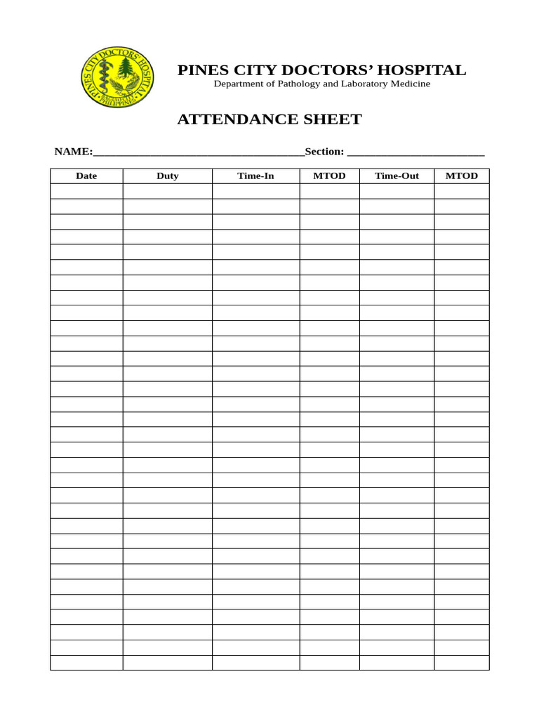 ATTENDANCE AND DEMERIT SHEET | PDF