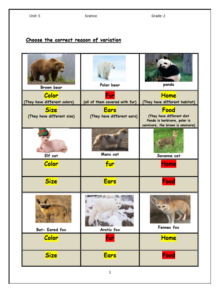 Variation Answers............... | PDF