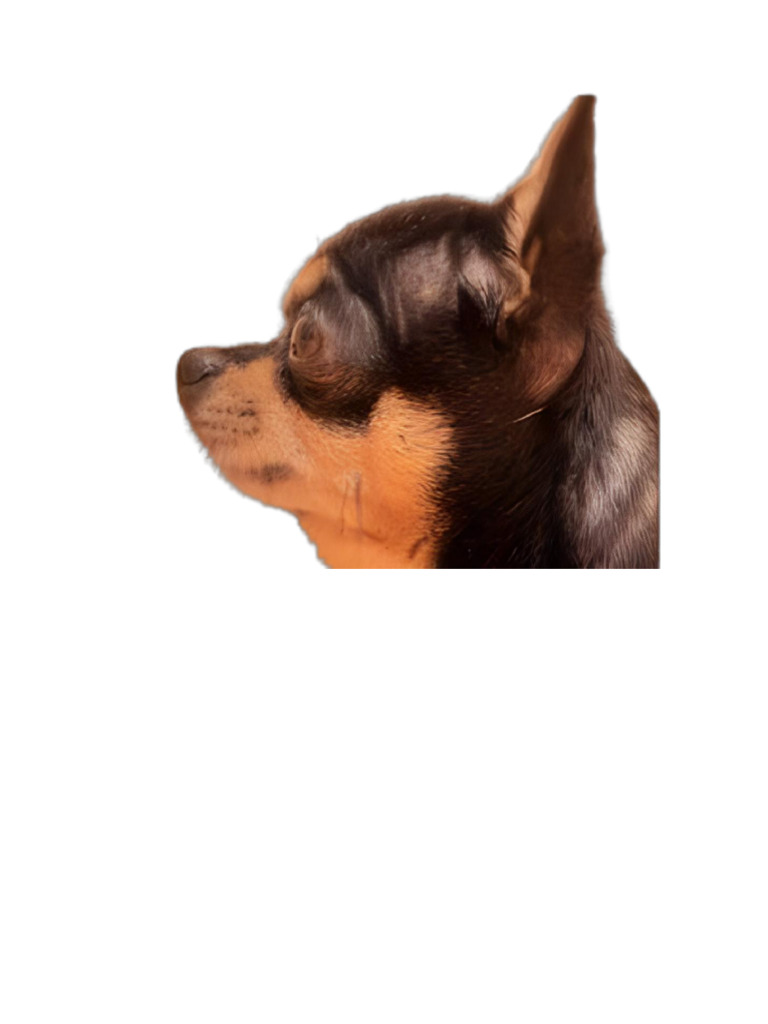 Eeeeeeeee | PDF