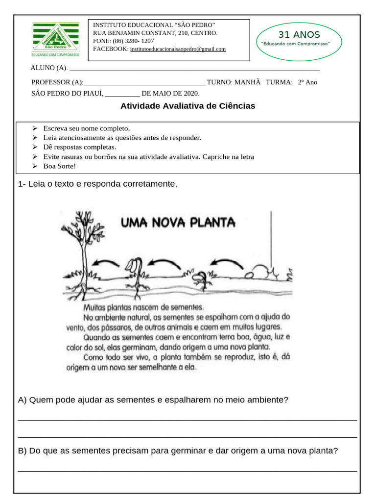 Atividade Avaliativa de Ciências | PDF | Plantas | Semente