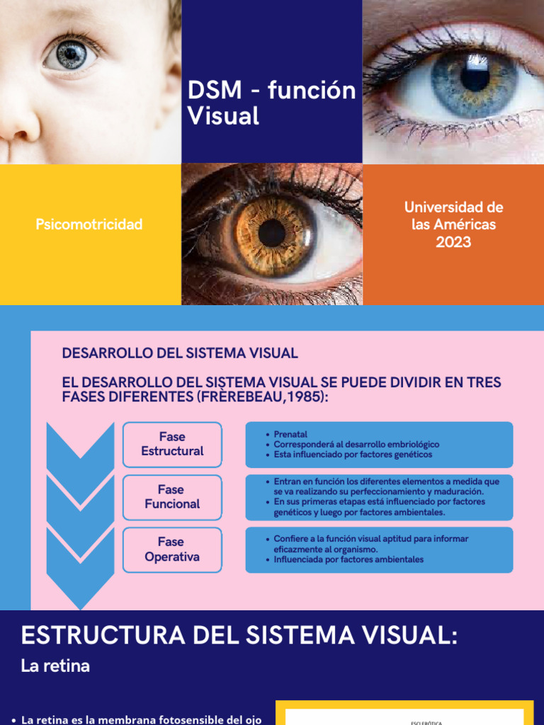 DSM 0 A 12 Años (Segunda Parte) DESARROLLO DEL CONTROL VISUAL | PDF ...