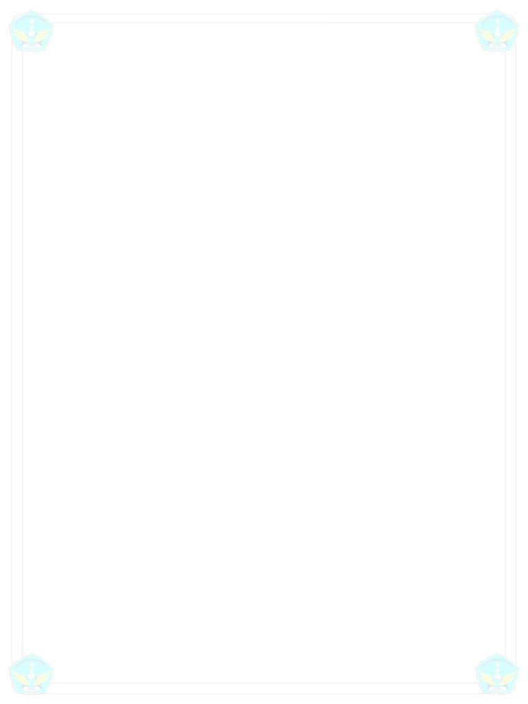 Border Raport | PDF