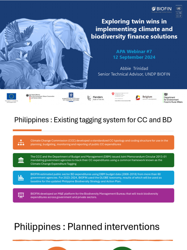 Climate and Biodiversity Finance Solutions | PDF | United Nations ...
