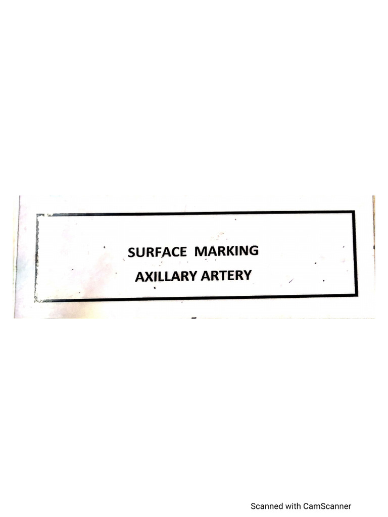 Surface Marking | PDF