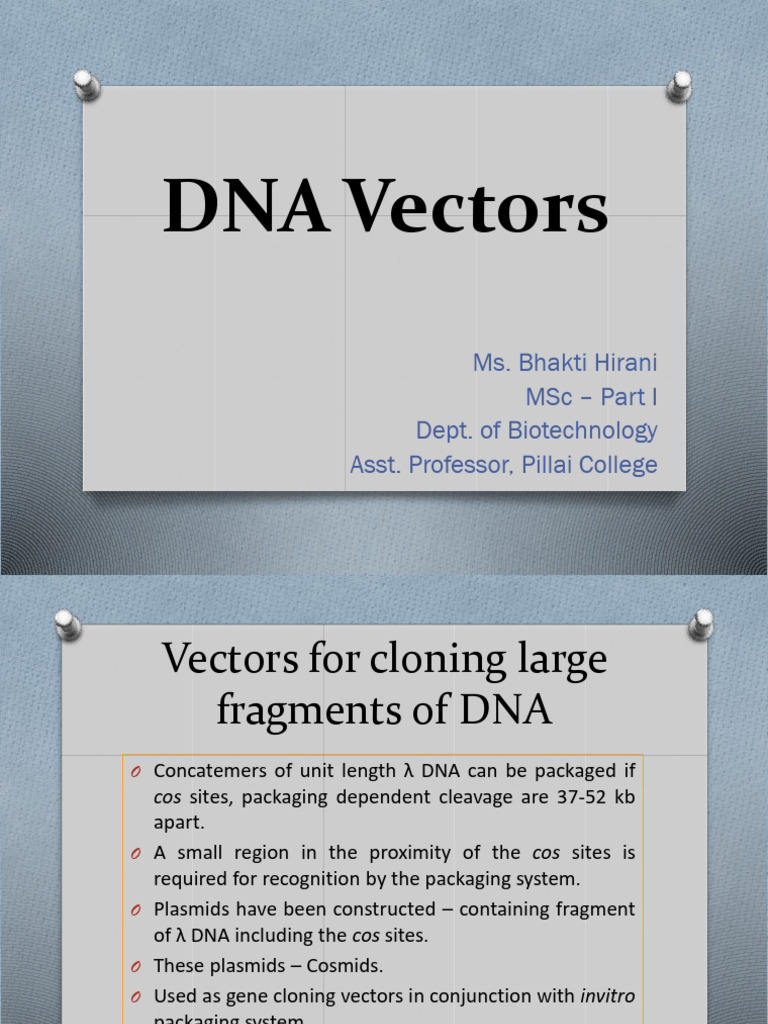 Overview of DNA Vector Types | PDF | Molecular Cloning | Vector ...