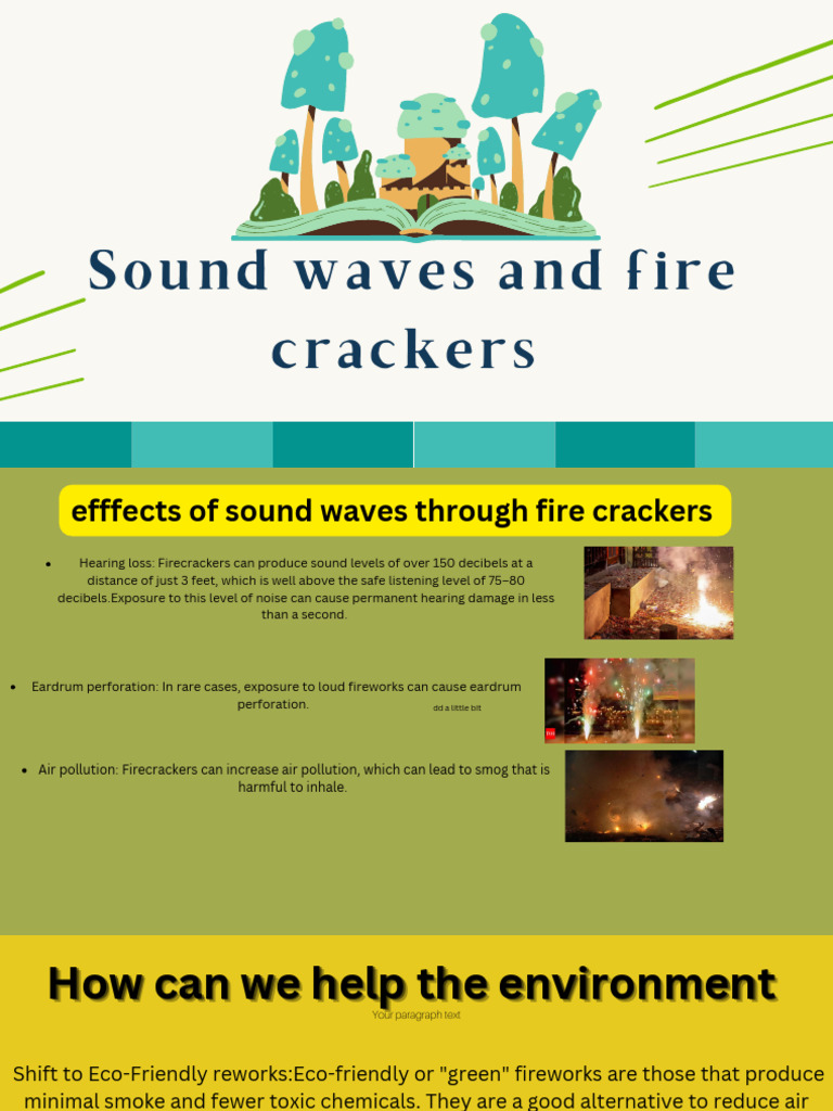 Firecracker Impacts: Hearing & Environment | PDF