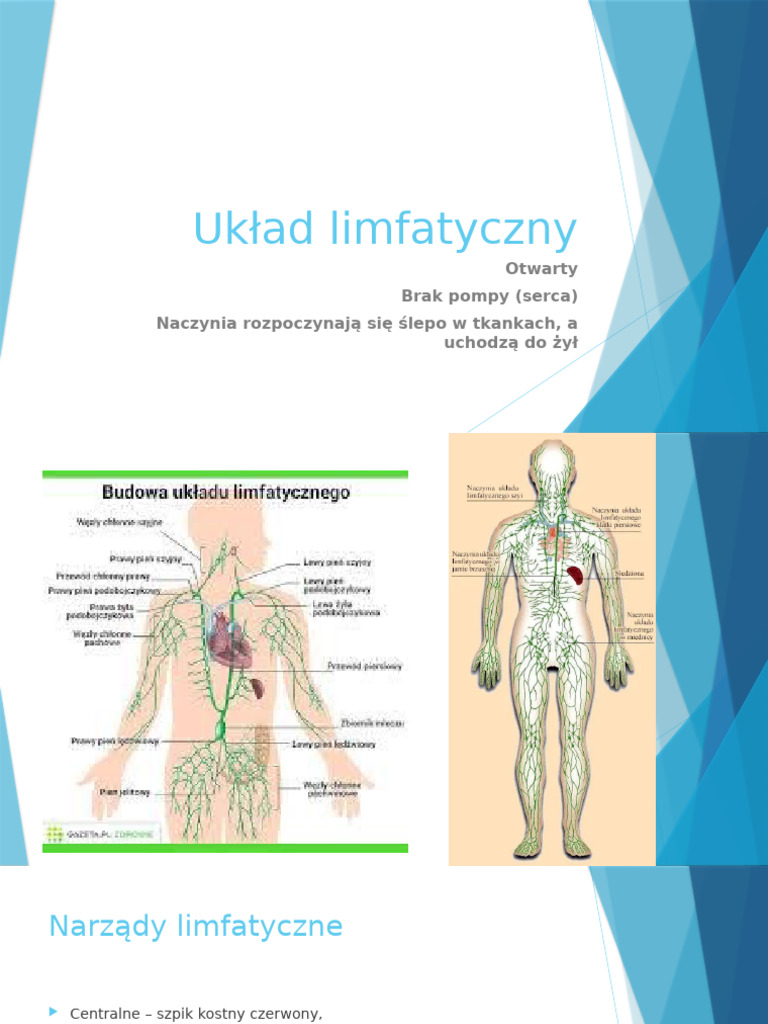 uk-ad-limfatyczny-pdf