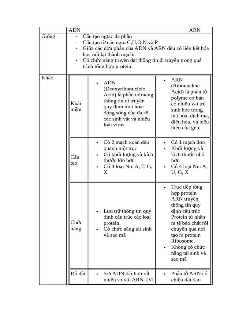 Adn and Rna | PDF