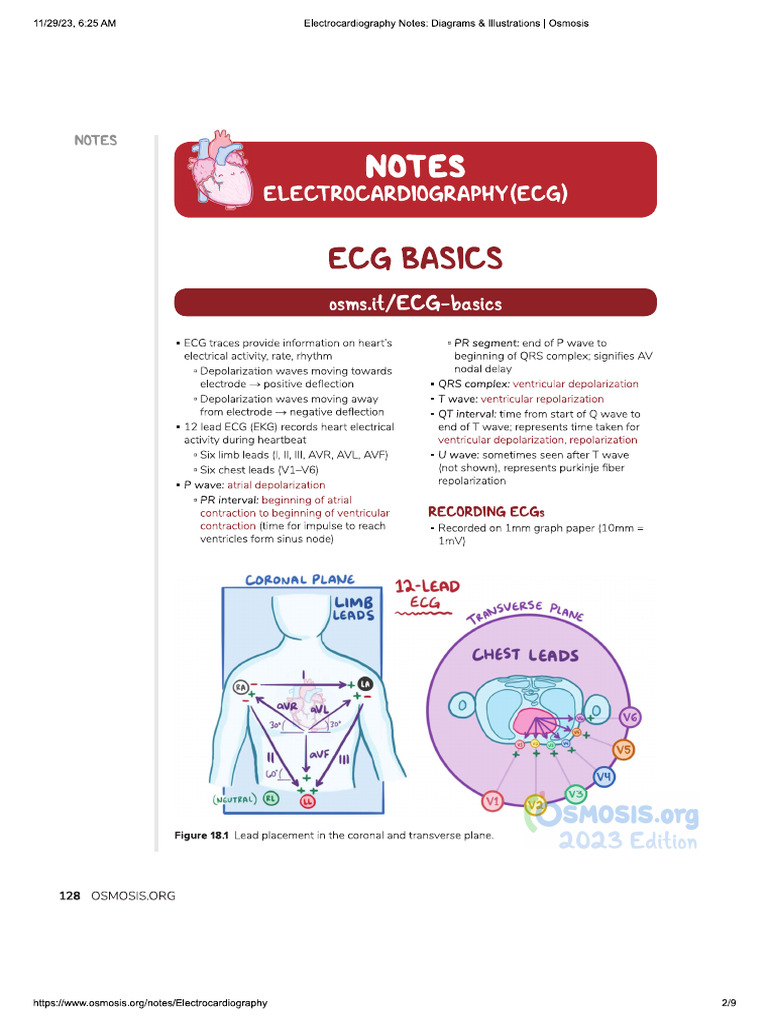 Ecg | PDF