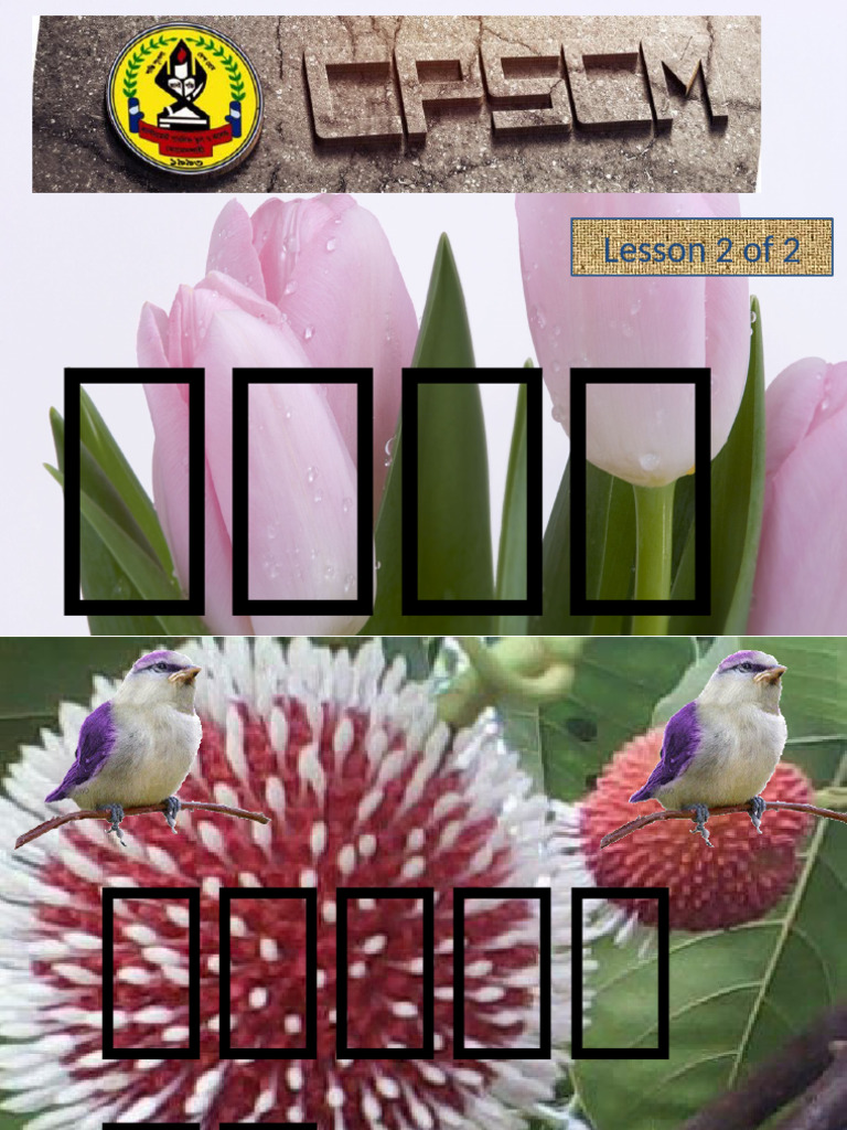 4 Chapter 2 | PDF