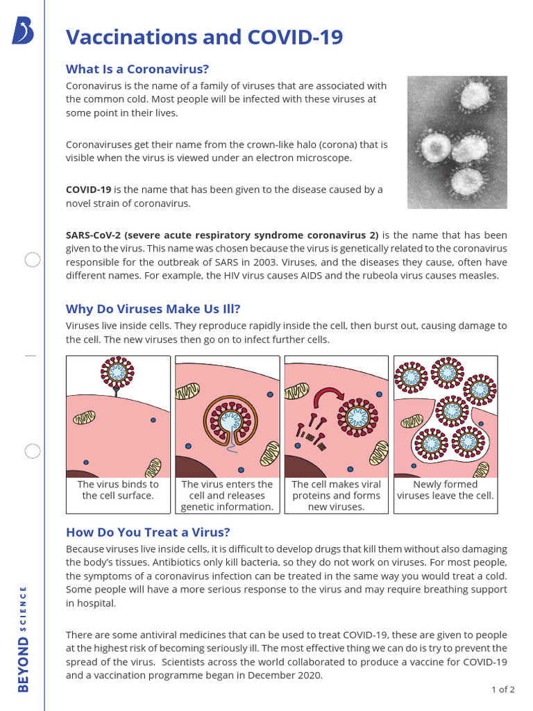 COVID-19 Vaccination and Spike Proteins | PDF | Virus | Antigen