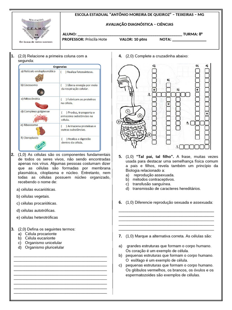 Atividades de Ciências: Corpo Humano 8º Ano | PDF | Célula (Biologia ...