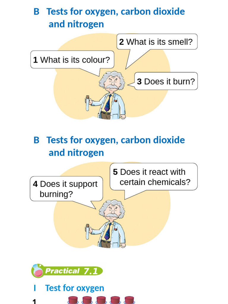 Tests for Oxygen, Carbon Dioxide, Nitrogen | PDF | Combustion | Nitrogen