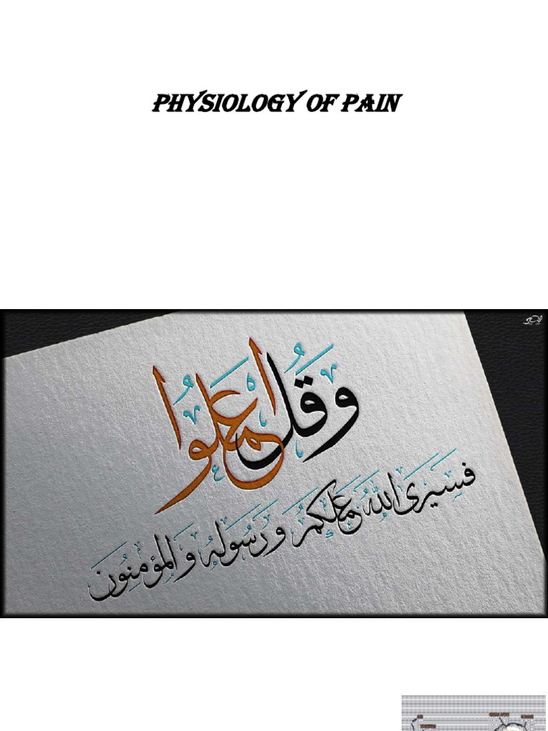 Physiology of pain | PDF | Pain | Thalamus