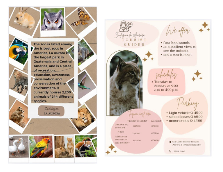 Zoo 23 | PDF