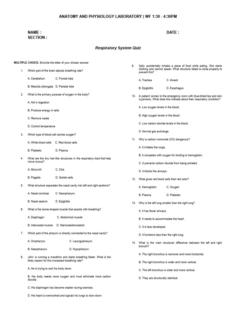 Respiratory System Quiz and Labeling | PDF | Respiratory Tract ...